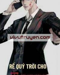 Rể Quý Trời Cho đọc online